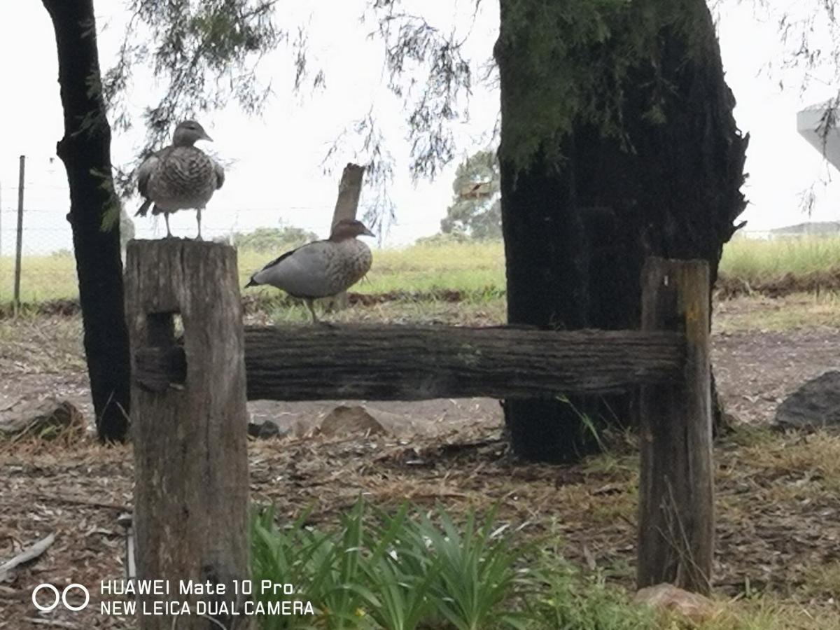 Kalimna Woods Cottages Lakes Entrance Bagian luar foto