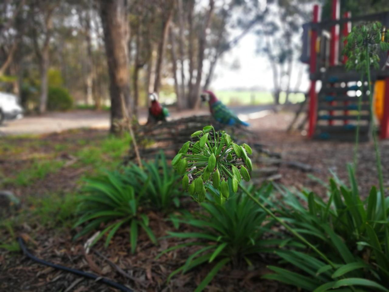 Kalimna Woods Cottages Lakes Entrance Bagian luar foto