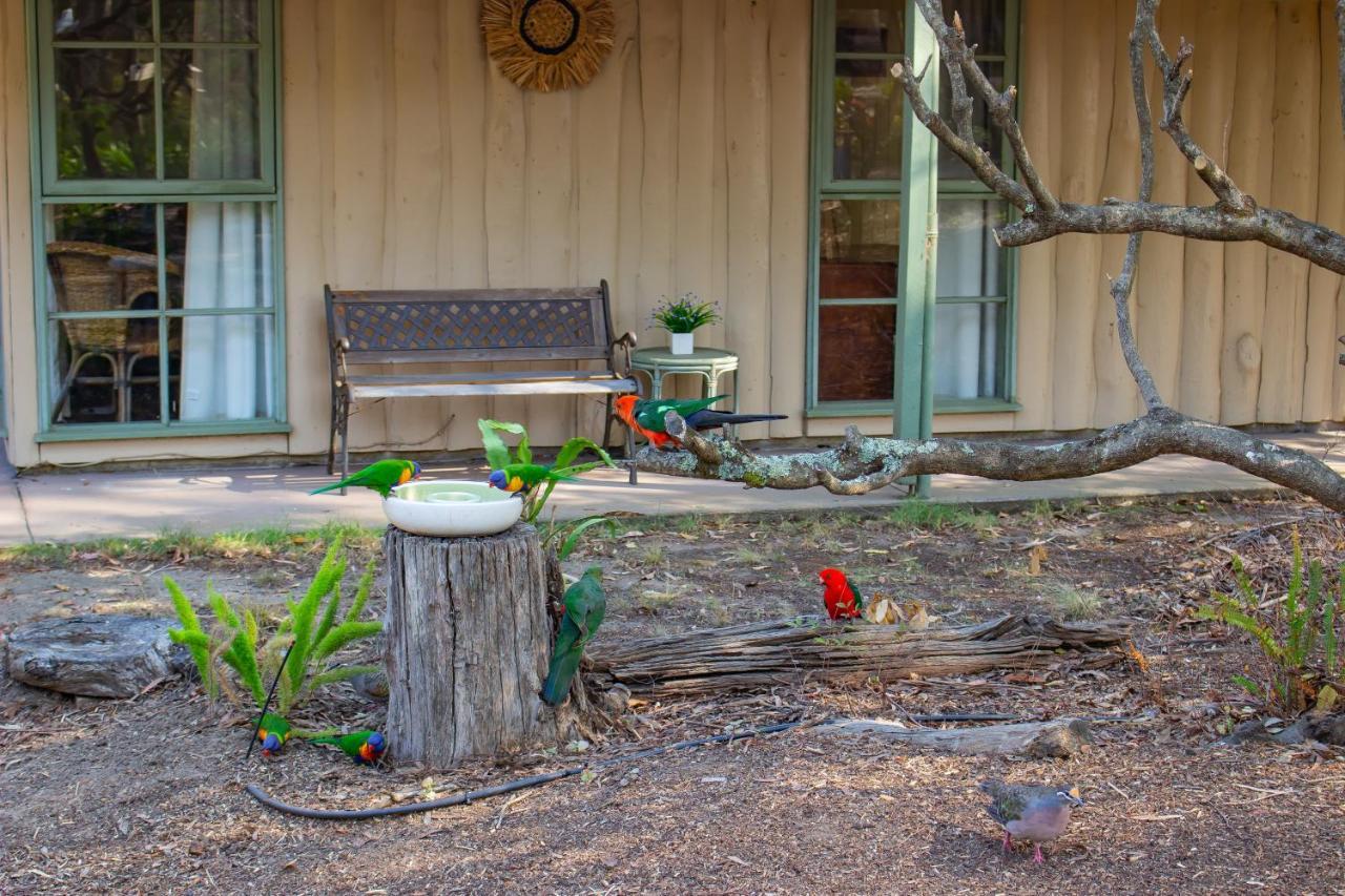Kalimna Woods Cottages Lakes Entrance Bagian luar foto