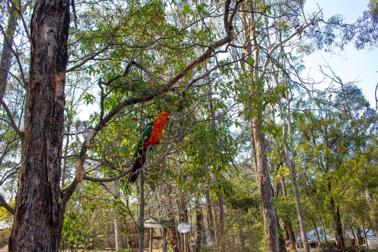 Kalimna Woods Cottages Lakes Entrance Bagian luar foto