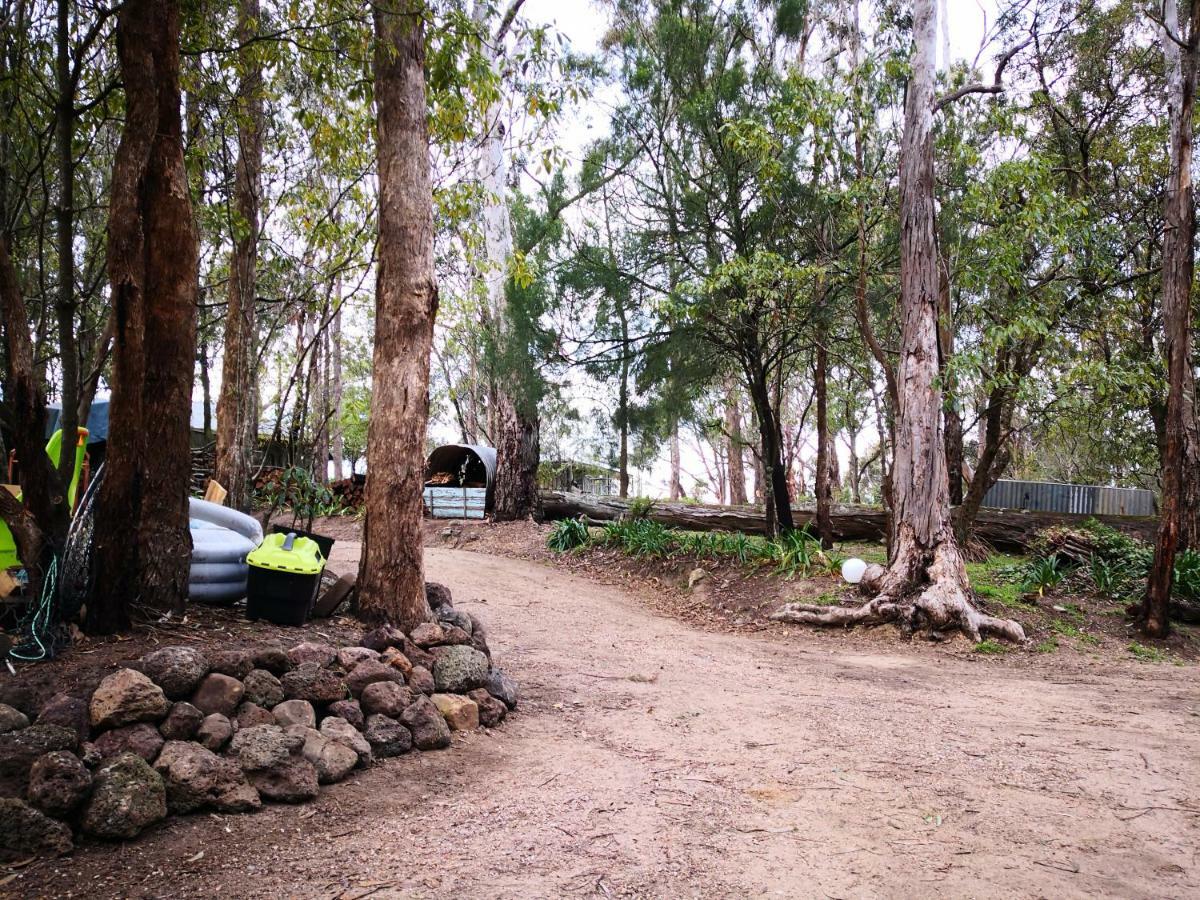 Kalimna Woods Cottages Lakes Entrance Bagian luar foto