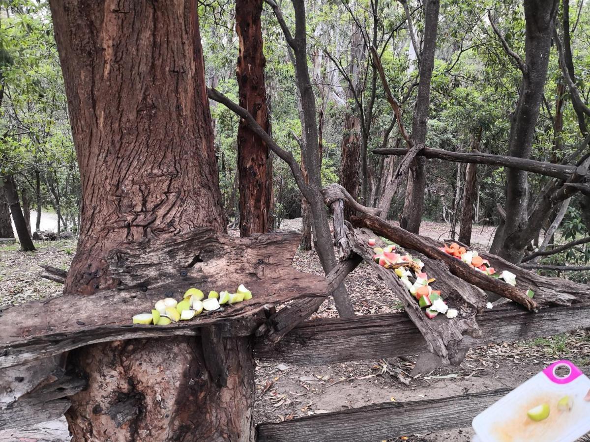 Kalimna Woods Cottages Lakes Entrance Bagian luar foto